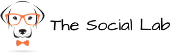 The Social Lab (2) (1)-1